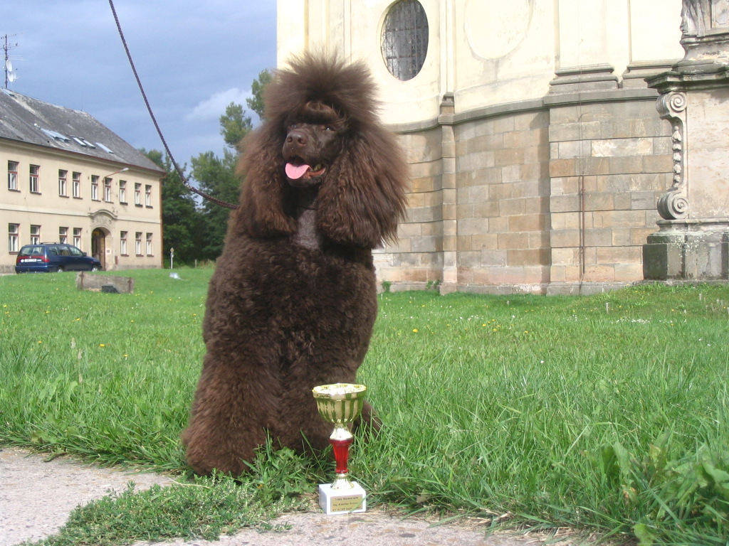 Betik3 - viteZ memorialu Smirice 07.JPG