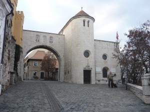 coleta-v-madarsku-leden-2012-020.jpg